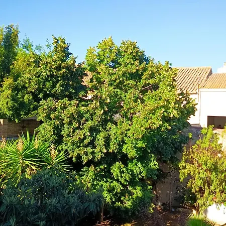 Loft El Til-ler * Bellvei del Penedes